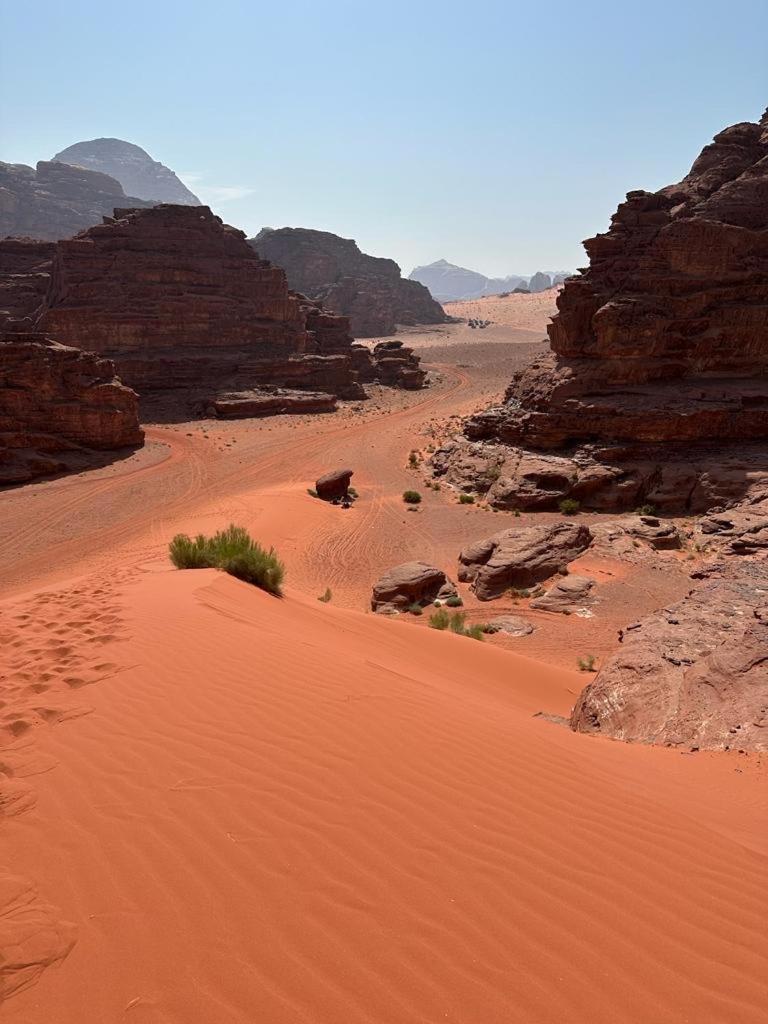 Bedouin Holidays Camp And Jeep Tours Hotel Wadi Rum Luaran gambar