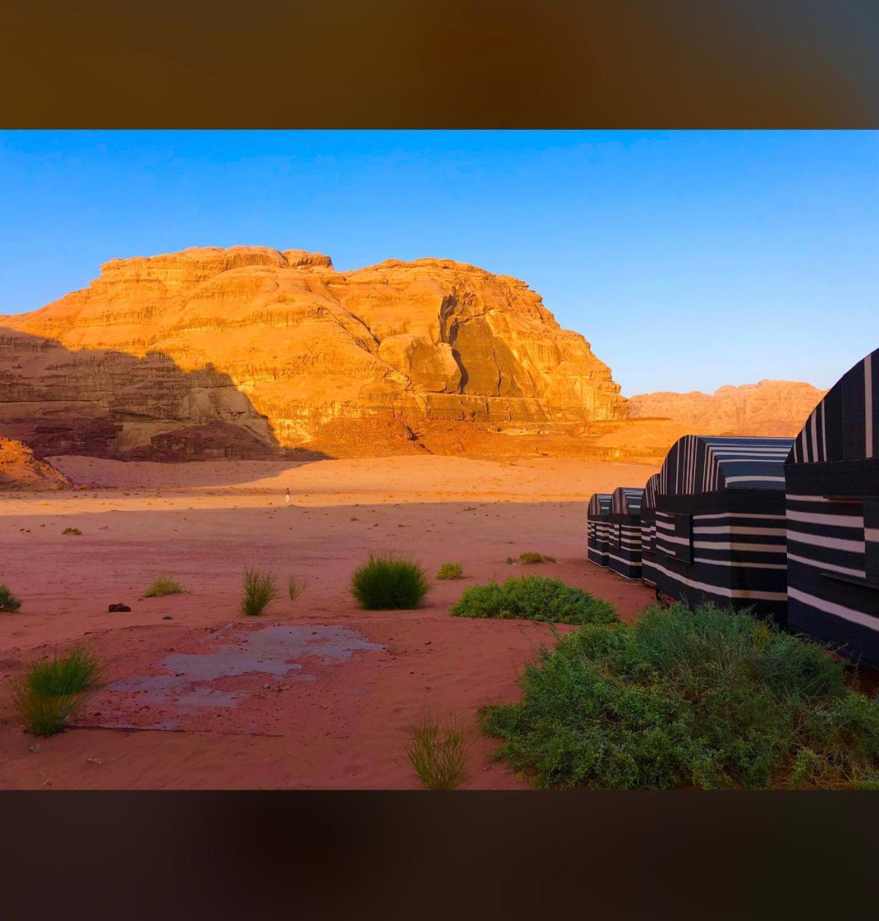 Bedouin Holidays Camp And Jeep Tours Hotel Wadi Rum Luaran gambar