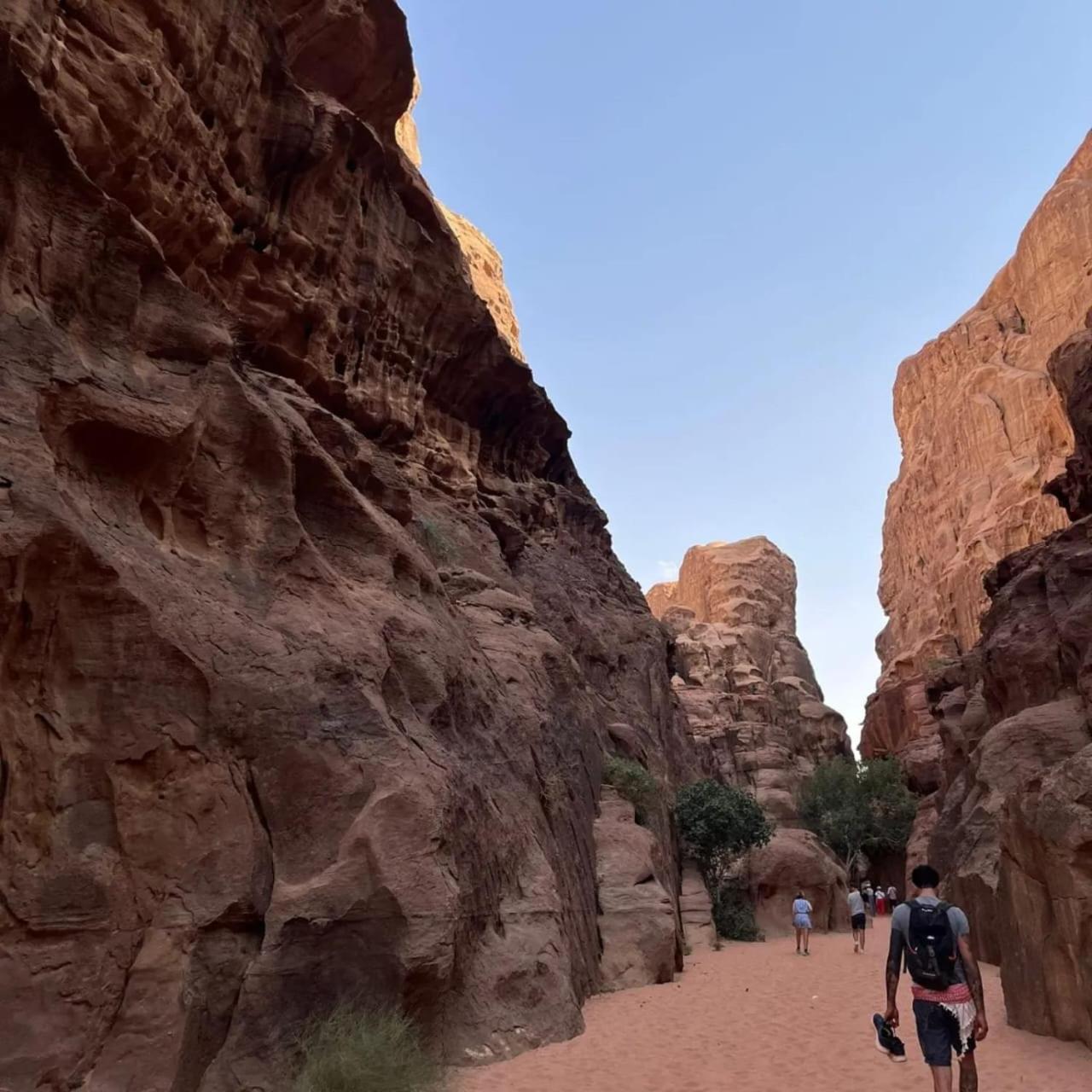 Bedouin Holidays Camp And Jeep Tours Hotel Wadi Rum Luaran gambar